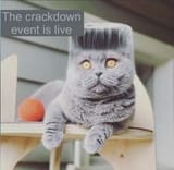 Screenshot_20221103-131817_Instagram