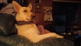 FB_IMG_1672023677412