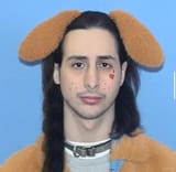 dog-shane