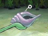 the magic conch