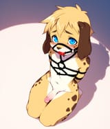 00275-4238746427