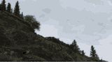 car-cliff