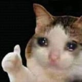 sad-cat