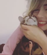 CLEO
