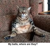 lost balls