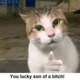lucky