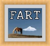 Fart