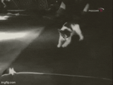Weightless.cat.............