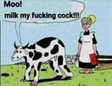 milk