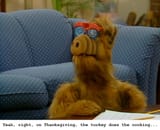 the turkey does the cooking