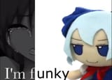 cirno two sides