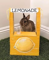 bnuynade