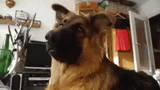 confused