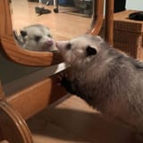 who am i