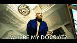 letsgetiton-dmx