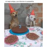 dog cumples