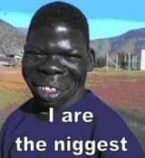 the-niggest
