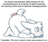 bunnyslut
