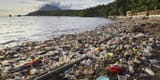 Overpopulation and Pollution