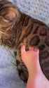 cleo and mar_thumb.jpg