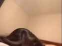 27453318_thumb.jpg