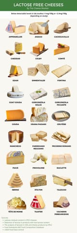 cool-lactose-free-cheese-guide-v0-v5sxtan5byaa1