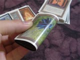 blacklotus