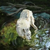 1562427855.-creeps_study1