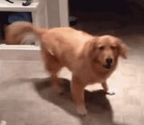 spin