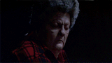 LARGE MARGE