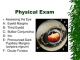 physical-exam26-l