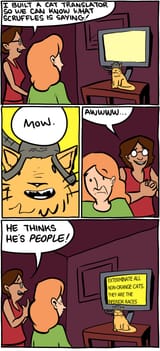 SMBC Orange Cat