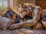 1732042663.-creeps_lazysundaylr