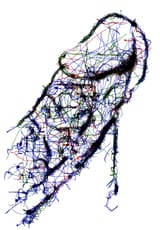 36ef032279fp6
