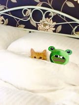 Cat_And_Apu_Snuggling_6960