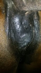 1734602257458733