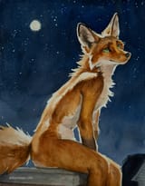 1740165158.-creeps_katonnexuswclr2