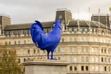 Giant cock