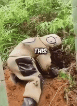 6cec5c98dd143d2c7ce15154f4404583-imagegif[1]