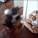 tumblr_42e1cec3e1b288c1defb97f37bdacd20_dec85b4d_400