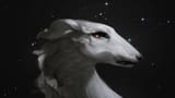 1675807257.gveanel_canes-venatici-pbl