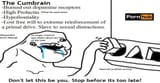 1733027913804753