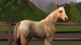 the-sims-3-horses