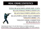 nigger crime