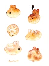 BUN BUNS