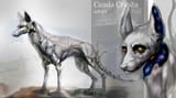 1695062846.sorrowkeeper_cauda-crinita-full