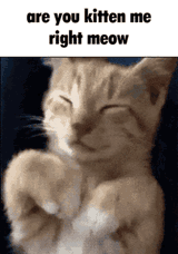 p8ntjvmwgnlc1