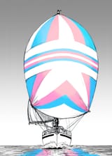1627309249.hladilnick_marylinspinnaker