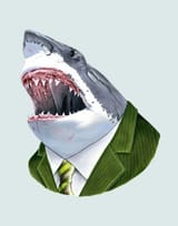 shark dude