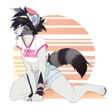 b27b7070a64f156fb0fe064798ce40b8